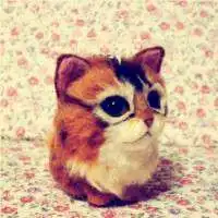 小猫军人微信头像图片大全