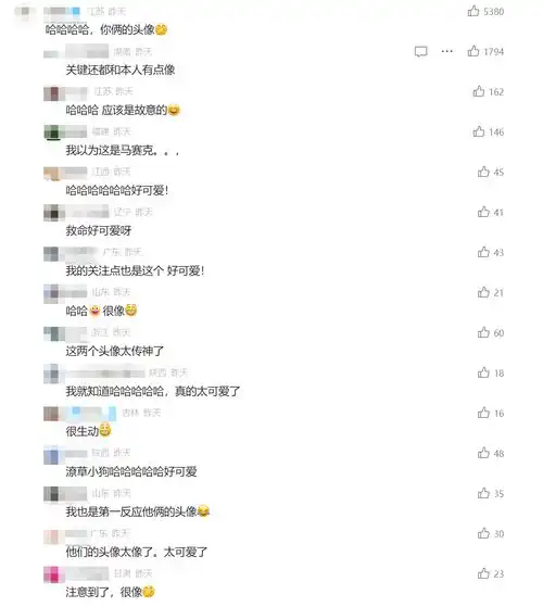 余华给莫言投稿一篇10万,网友关注起了两人微信头像
