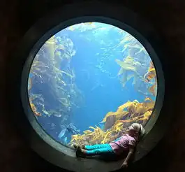 ps大神把照片做成惊人的电影海报