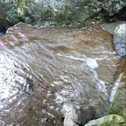 临安太湖源头金鑫山庄图片临安太湖源头金鑫山庄真实图片相册