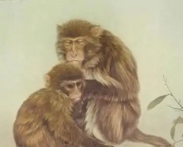 属猴生在几月,命里带财,旺父母,下半年好运和财运都源源不断
