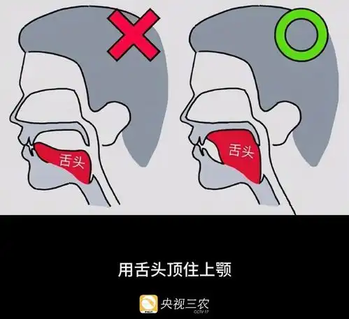 大脑也会结冰吃冷饮要讲究科学性