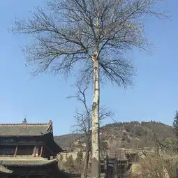 2019晋祠博物馆门票,太原晋祠博物馆游玩攻略,晋祠博物馆游览攻略路线地址门票价格