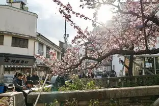 又见霓虹1月偶遇樱花乌鸦满天的东京不太热的热海充满遗憾的名古屋