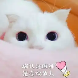 520土味情话套路表白撩妹撩汉全靠它了