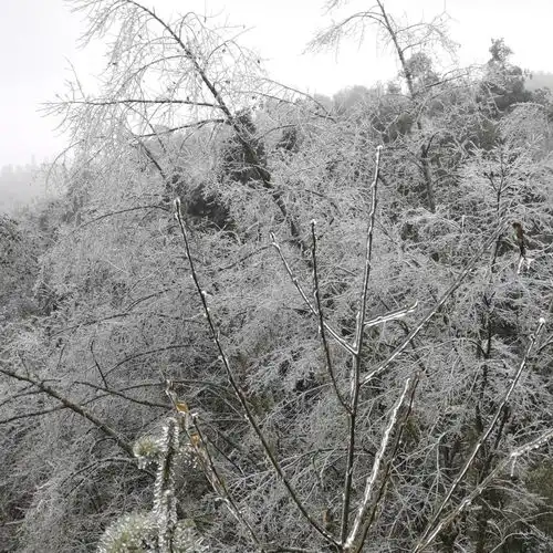 西畴县一波冰凌美景来袭,邀您共赏