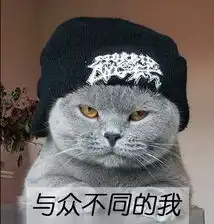 抓老鼠的猫80后宅男的悲剧