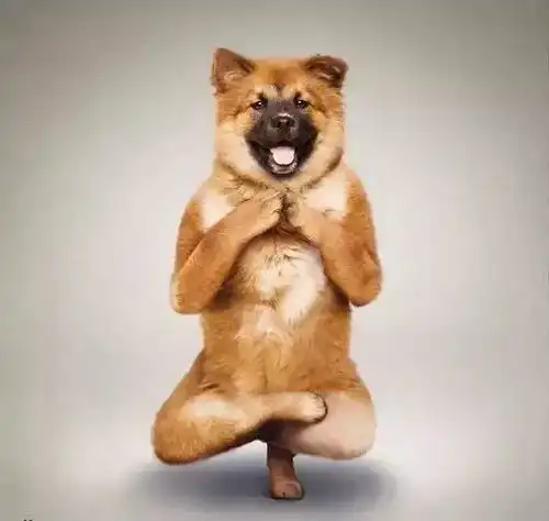开心一笑