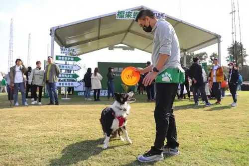 与爱犬做队友共同挑战狗巴迪勇士赛上海站开启