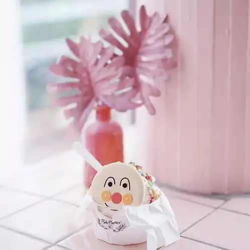 烘焙圈子马卡龙大家都见的多了,但是这种马卡龙很多人却没见过