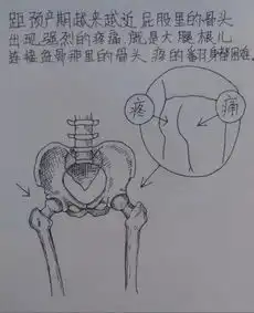 超级奶爸手绘,记录老婆怀孕到生宝宝的点滴