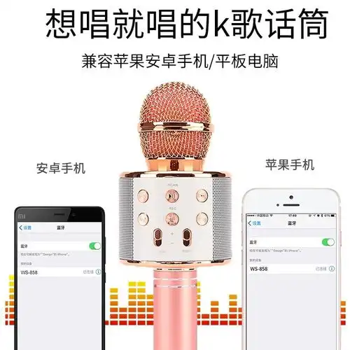 世霸专业全民k歌话筒手机唱歌唱吧蓝牙麦克风一体带音响无线ktv