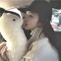 微信头像羊驼微信头像图片大全