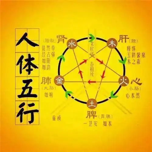 限时免费黄帝内经养生课程,学春季养生之道,活出精气神