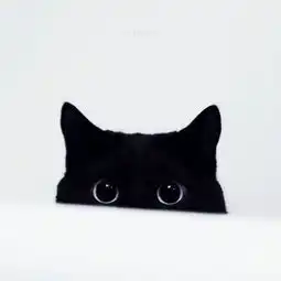 求黑色萌猫头像