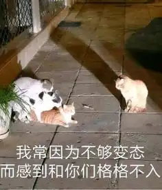 熊猫头表情包聊天结束,告辞