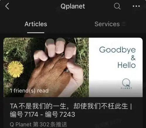 隐秘的宠物殡葬,猫猫狗狗们的死亡价码