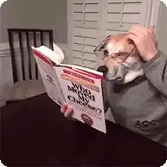 不要等到娃做作业磨磨蹭蹭,气得要揍娃,才后悔没有培养专注力