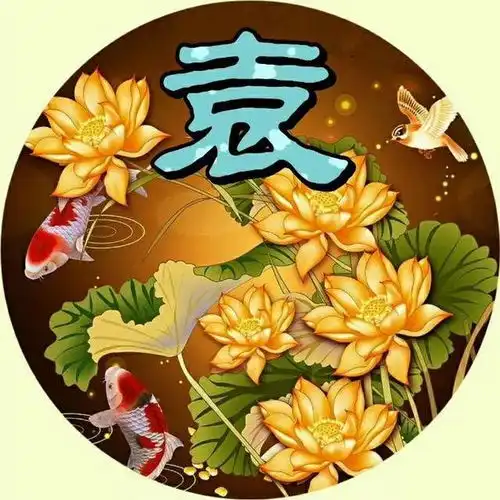 精心挑选了5种款式,总共70张微信头像,精致美观,收藏起来吧