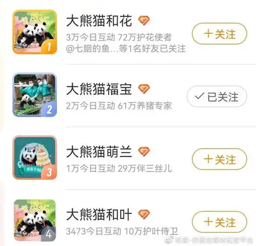 除了撸猫,这届年轻人爱在超话养熊猫