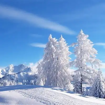 唯美雪景头像,美丽的冬季风光雪景太陶醉了
