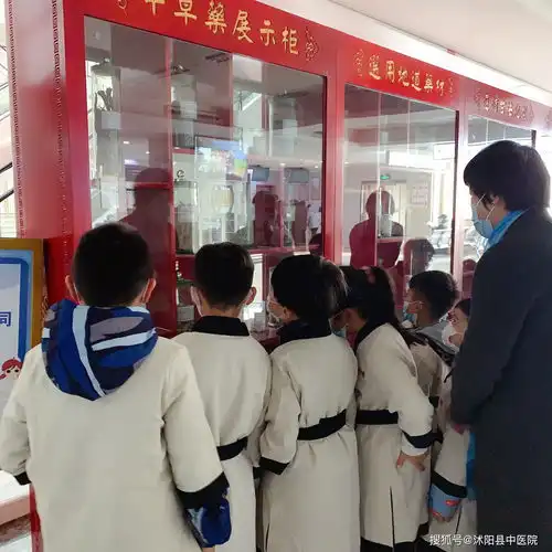 传承中医药文化,共建共享健康生活我院举办我是小中医职业体验活动