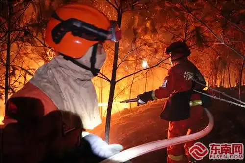 福建省三明发生森林火灾117名指战员前往扑救