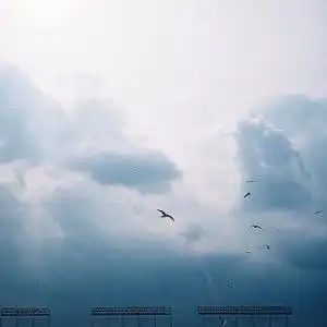测试一个超长简介的文章