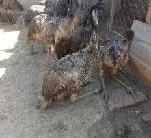 黄页88高清图片
