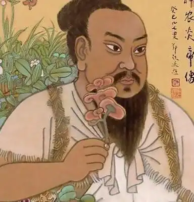 中国古代时人病了吃中草药,国外人古时候病了吃啥