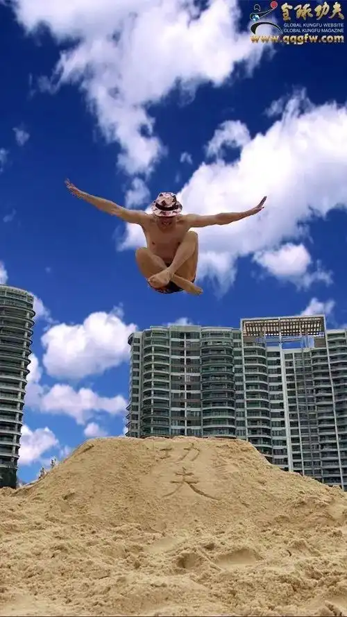 傅彪丨鹰击长空飞凡人生