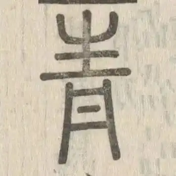 青春之青,何以青年