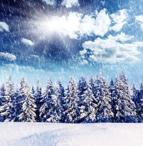 高清冬季冬天雪景自然风景jpg摄影图下载至来源处