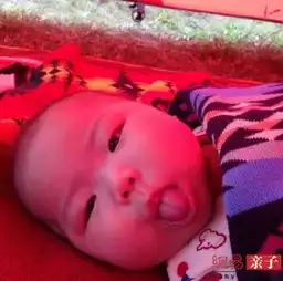 神奇奶爸和萌宠的坑娃生活