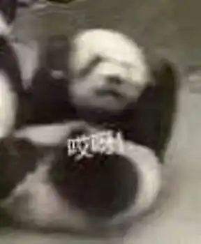 超沙雕动态集
