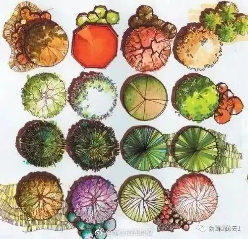 练完这些植物手绘,真心可以入门