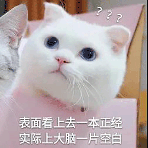 最火表情包第11期