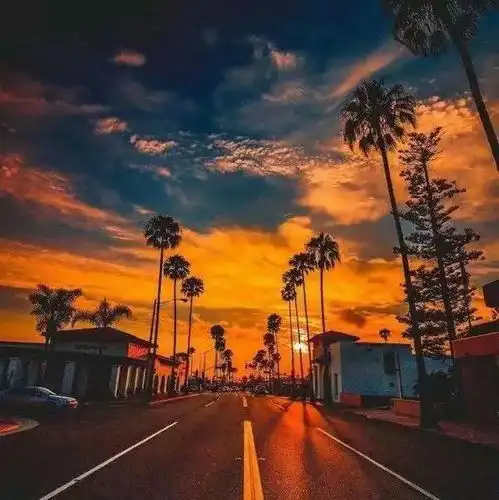 测试一个超长简介的文章