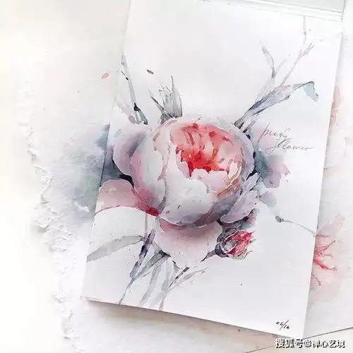 漂亮的水彩花卉手绘插画,来学习吧