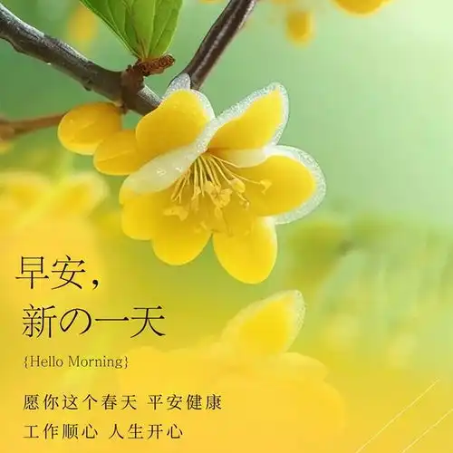 阳光心态的正能量早安问候语,简单快乐的早上好祝福唯美句子