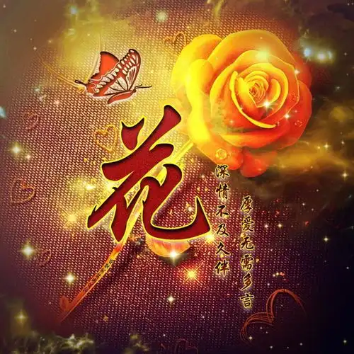 超美古风姓氏头像,中国风简约大气微信头像,不要错过