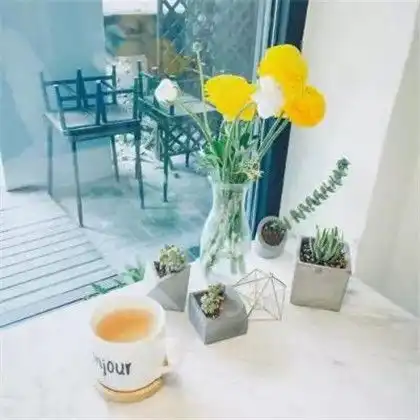 让人看了就好心情的头像,好看唯美花朵2020给大家带来好心情吧
