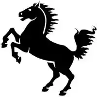 黑马头像图片大全微信头像图片大全