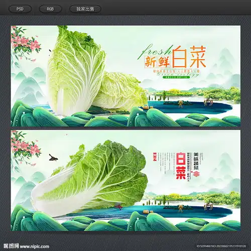 白菜设计图