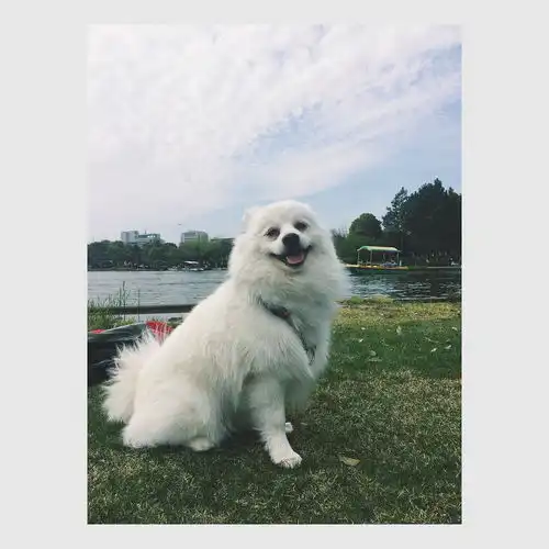 测试一个超长简介的文章