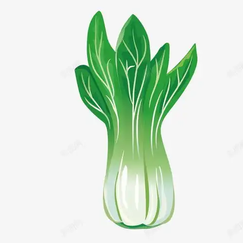 大白菜页面网页平面电商创意素材大白菜素材