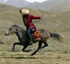 如果你是这个姓氏,你就可能不是华夏子孙,而是伊朗人的后裔