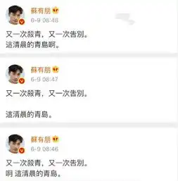 苏有朋玩微博玩出了花改标点改表情包改图序改好多遍