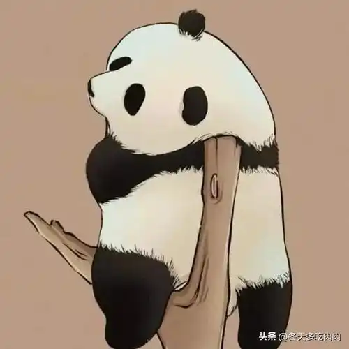 可爱的熊猫头像