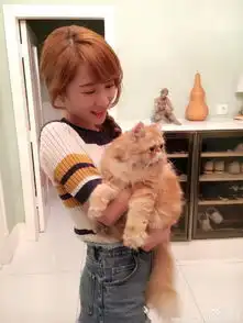 阔太李念抱猫爱不释手神撞脸邱莹莹